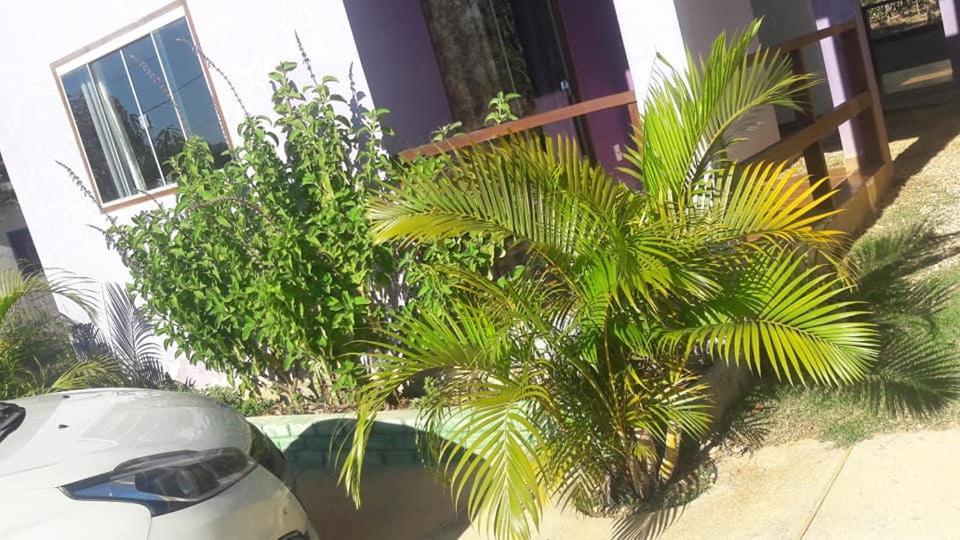 Apartment Flat Da Avalon